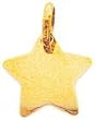 14K Gold Star Charm