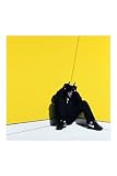 BOY IN DA CORNER [Vinyl]