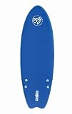 BZ 5'2 Fish Surfboard