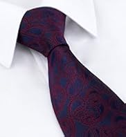 Ultimate Performance Pure Silk Paisley Print Woven Tie