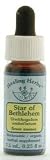 Flower Essence Services (FES) - Star of Bethleham - Healingherbs Flower Essences of Dr. Bach 1/4 oz