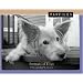Pawfiles Portraists of Dogs: A Bark and Smile Book