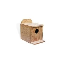 Finch Nest Box