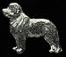Pewter Newfoundland Pin