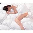 Allergy -Shield s TM Luxurious Down Alternative Comforter, King
