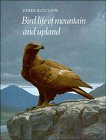 Bird life of mountain and upland