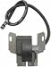 Replacement Electronic Ignition Coil Solid State Module for Briggs and stratton 492341