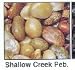 Natural Shallow Creek Pebbles 5/5lb