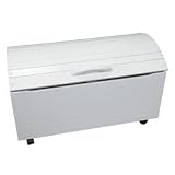 Gift Mark Treasure Chest Toy Box - White