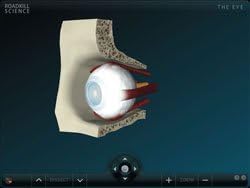 Dissectibles: Eye CD-ROM