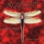 Insects & Angels: Differences & Indifferences