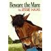 Beware the Mare