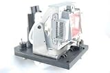 NEC NP12LP replacement projector lamp bulb with housing - High quality replacement Lamp