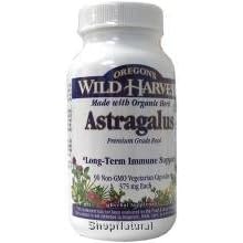 Astragalus, Vegetarian Capsules, Organic, 90 ct. by Astragalus Capsules