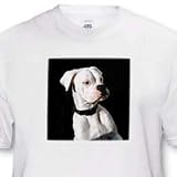 White Boxer Uncropped Ears - Toddler T-Shirt (4T)