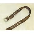 Hamilton EARTH SERIES Deluxe 1" D/T Nylon Dog Collar, Brown, 26"