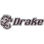 Drake of the 99 Dragons (PC)