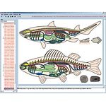 Illustrated Resource Library - Zoology in the Classroom CD ROM