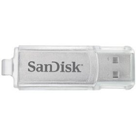 SanDisk 2GB USB Cruzer Micro Skin Flash Drive