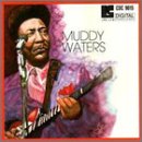 Review Muddy Waters  / Muddy Waters