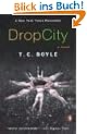 Drop City