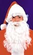 Santa Wig and Beard Child Size