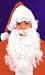 Santa Wig and Beard Child Size