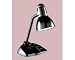 Organizer 60 Watt Incandescent Desk Lamp, 16