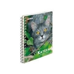 Katzen Diary 2007.