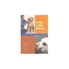 Hunde richtig pflegen