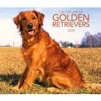For the Love of Golden Retrievers 2009 Deluxe Wall Calendar