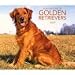 golden retriever - For the Love of Golden Retrievers 2009 Deluxe Wall Calendar