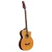 Soundlab Electro Acoustic Bass Guitar Kit