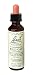 Original Flower Essences Wild Oat 20 ml