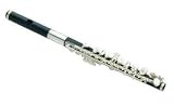 Zoom Produkt-Bild: Jupiter JP-305-ES Piccolo ABS Kopf und Korpus