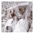 Vespertine