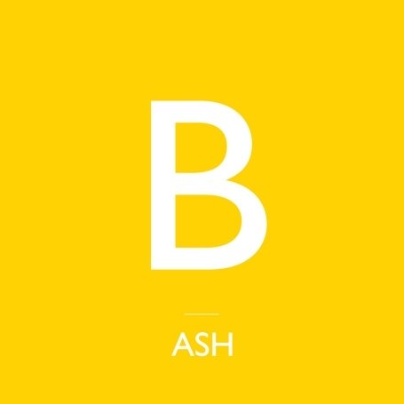 Ash Picture