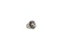 Twilight "New Moon" Prop Replica (Bella's Crest Ring)