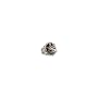Twilight "New Moon" Prop Replica (Bella's Crest Ring)