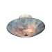 Butterfly Semi-Flush Ceiling Light