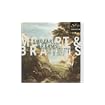 Mozart And Brahms: Clarinet Quintets