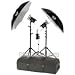 Photogenic PL40K 1320 total watt second Digital DR PowerLight Mobile Kit (3- Light)