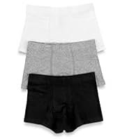 3 Pack Cotton Rich Assorted Trunks
