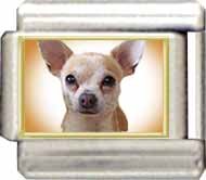 image link - - B000FEG3Q6