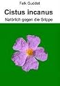 Cistus incanus: Nat&uuml;rlich gegen die Grippe