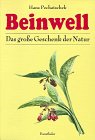 Beinwell: Das gro�e Geschenk der Natur. Eine hervorragende Heilpflanze