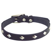 Circle T Diamond Stud Leather Collar- 1/2" width