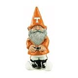 Tennessee Volunteers Collegiate Garden Gnome