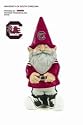 University of South Carolina Garden Gnome