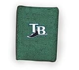Tampa Bay Devil Rays Sweatband
